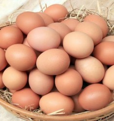 እንቁላል / Eggs