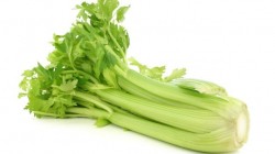 ሴለሪ / Celery