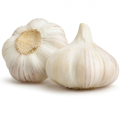 ነጭ ሽንኩርት / Garlic