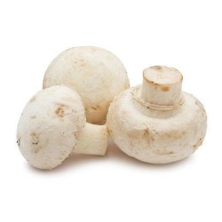 እንጉዳይ / Mushrooms