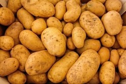 ድንች / Potatoes