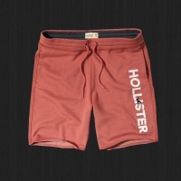 Holister Surfer Shorts