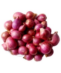 ምርጥ የሃበሻ ቀይ ሽንኩርት / Premier - yeHabesha Red Onions