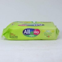 All Day Disinfectant Wipes