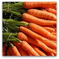 ካሮት / Carrots