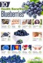 Sensation Dried Blueberries 170g