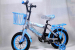 Kids Bicycle with Training Wheels